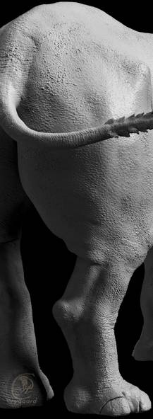 Rygaard Creations Baby Black Rhino body details