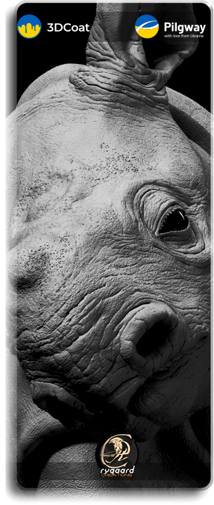 Rygaard Creations - Baby Black Rhino - Project