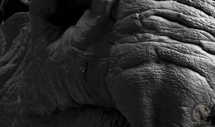 BLACK RHINO - Rygaard Creations