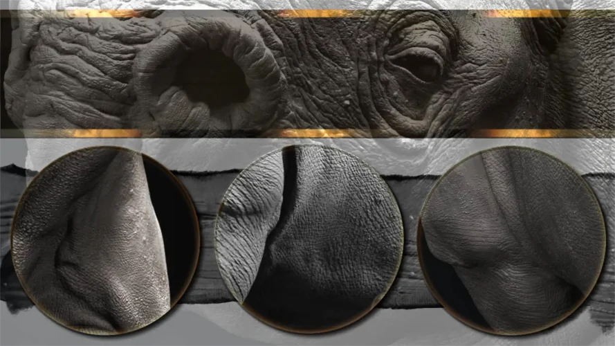 Rygaard ApplyDetails brush with 68 brush tips SkinPack