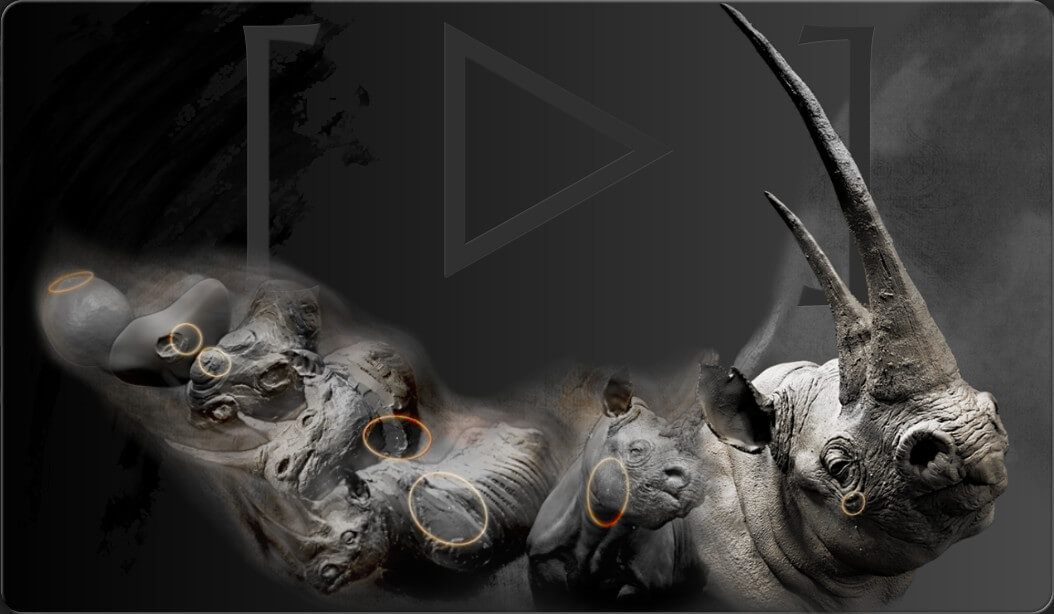 rygaard creations videos